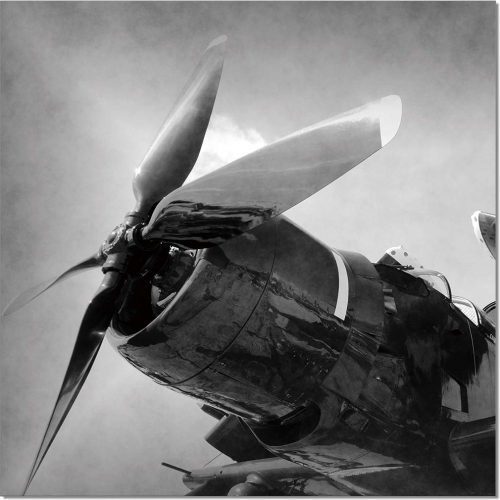 Aircraft Rotor Wall Art in Black & White